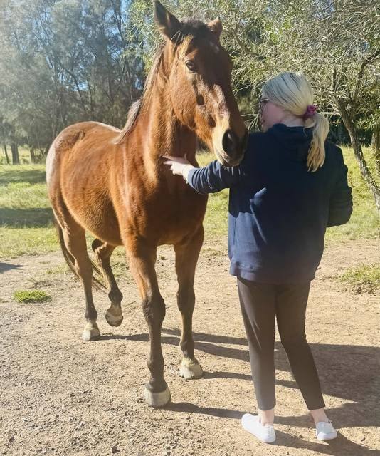 A participant learning to hand-feed a horse