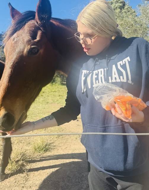 A participant feeding animals during a community farm visit